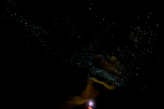 Aut. Piotr Karpiński, fot. Milkyway